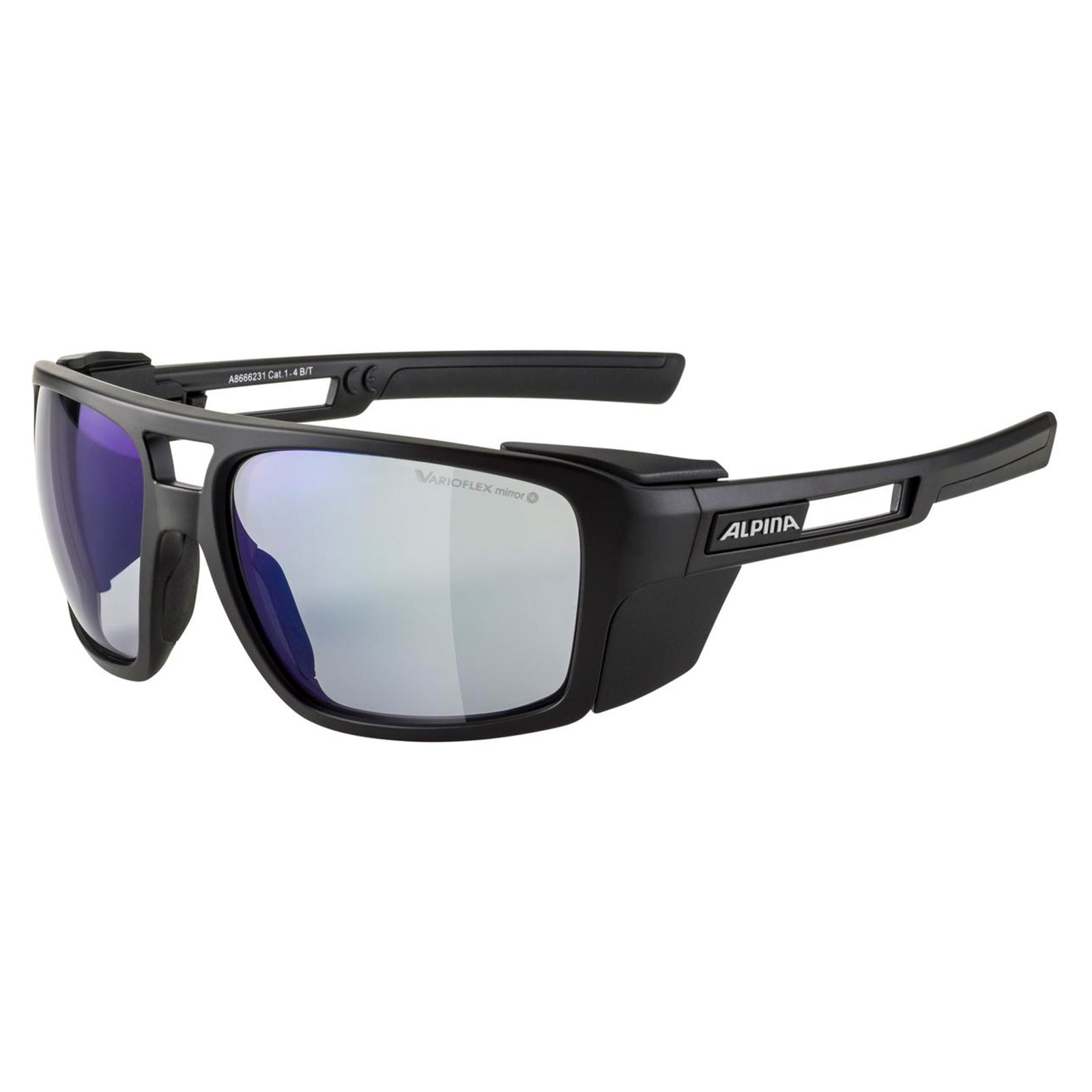 Alpina Skywalsh V Sportbrille schwarz