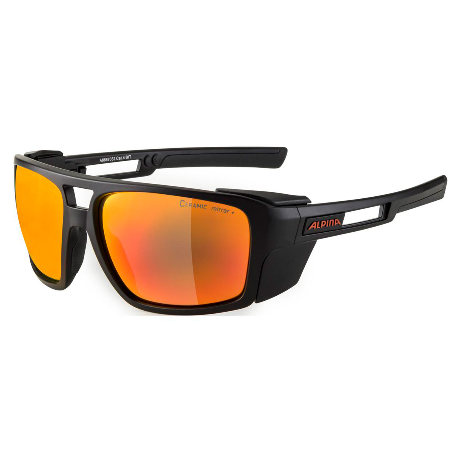 Alpina Skywalsh Sportbrille schwarz